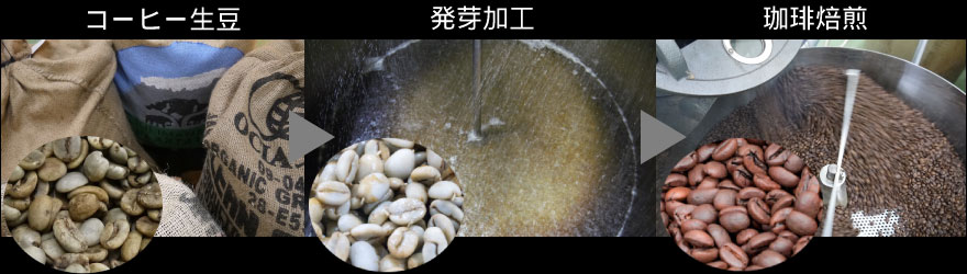 発芽珈琲の製造過程